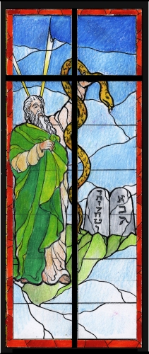 Moses color