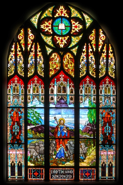 Texarkana – Full Window 1 – New